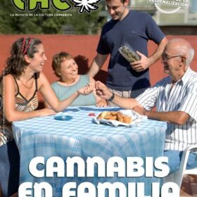 REVISTA THC14
