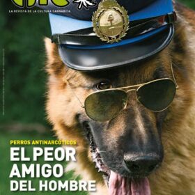 REVISTA THC23