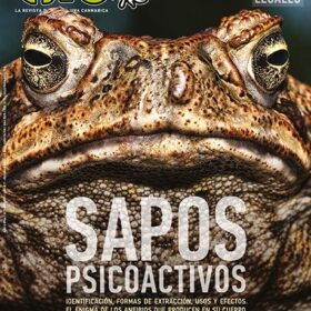 REVISTA THC44