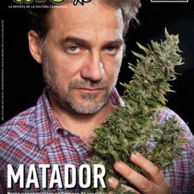 REVISTA THC49