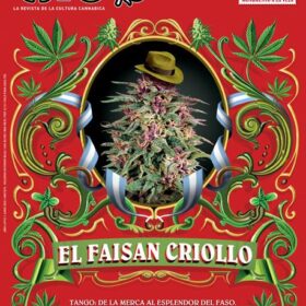 REVISTA THC51