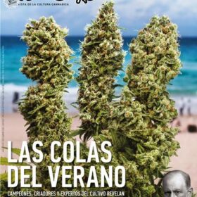 REVISTA THC57