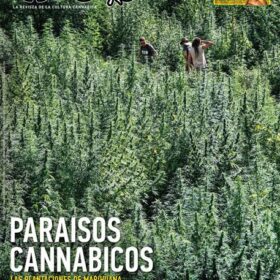 REVISTA THC58