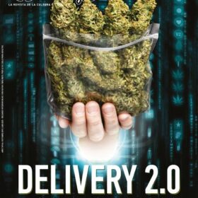 REVISTA THC66