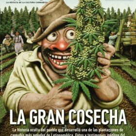 REVISTA THC82
