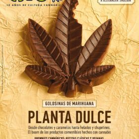 REVISTA THC104