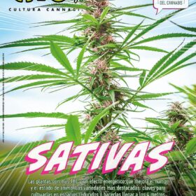 REVISTA THC106