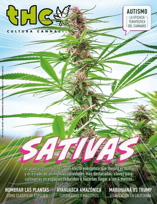 REVISTA THC106