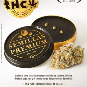 REVISTA THC109