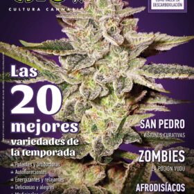 REVISTA THC113