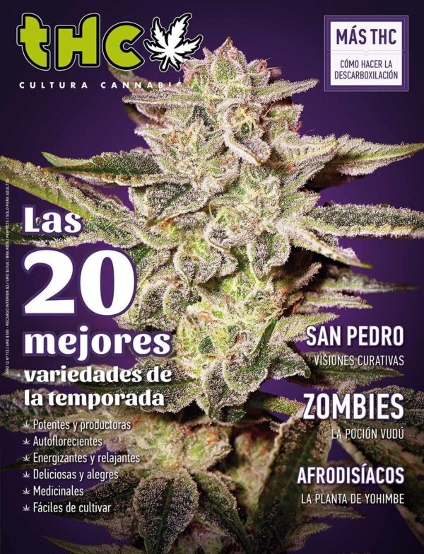 REVISTA THC113