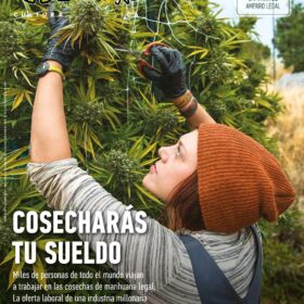 REVISTA THC114