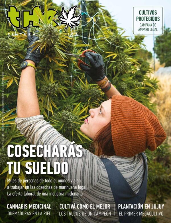 REVISTA THC114