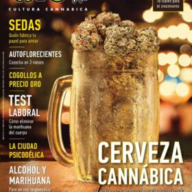 REVISTA THC116