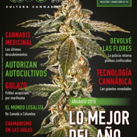 REVISTA THC117