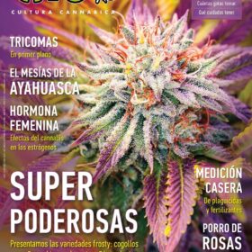 REVISTA THC118