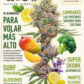 REVISTA THC119