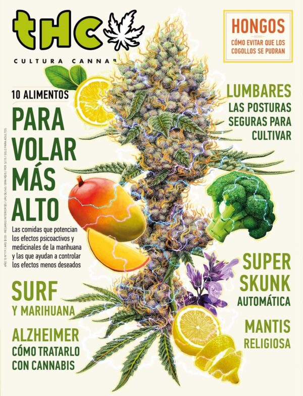 REVISTA THC119