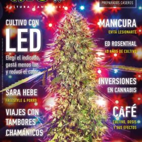 REVISTA THC121