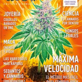 REVISTA THC123