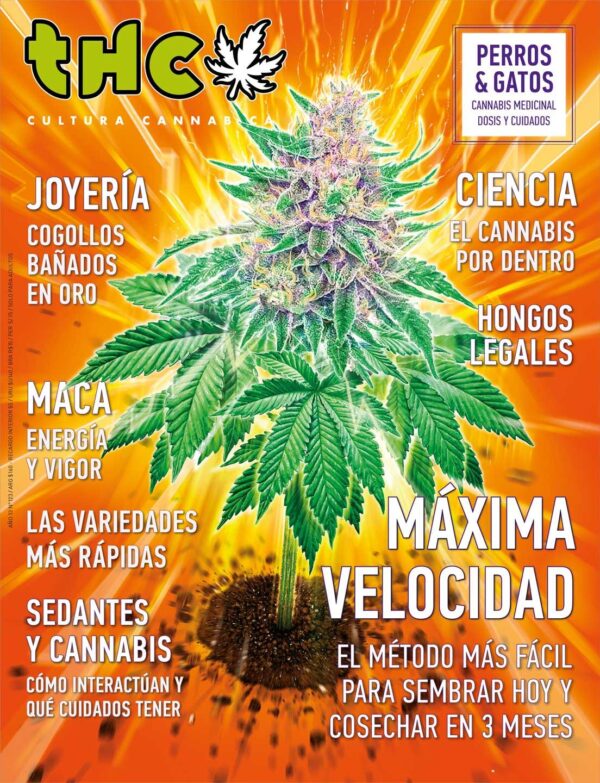 REVISTA THC123
