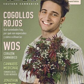 REVISTA THC126