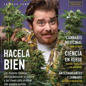 REVISTA THC127