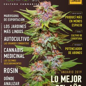 REVISTA THC128