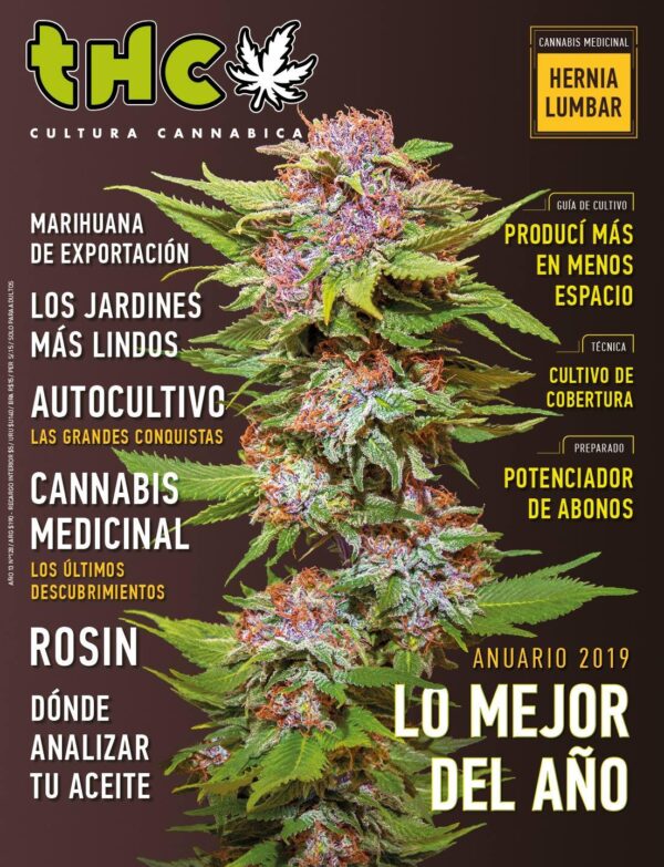 REVISTA THC128