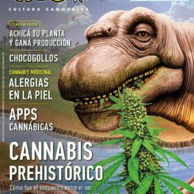 REVISTA THC129