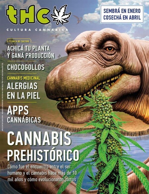 REVISTA THC129