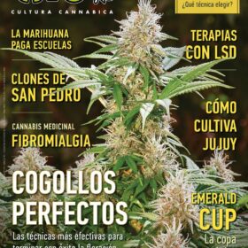 REVISTA THC131