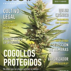 REVISTA THC138