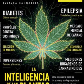 REVISTA THC140