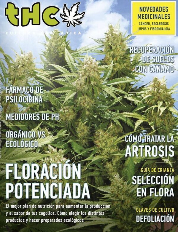 REVISTA THC141