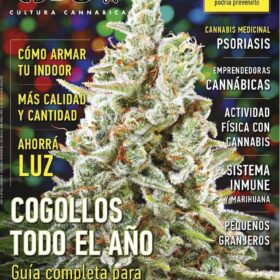 REVISTA THC134