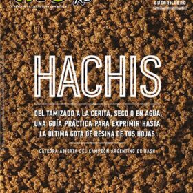 REVISTA THC41