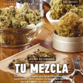 REVISTA THC111