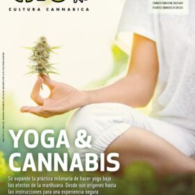 REVISTA THC112