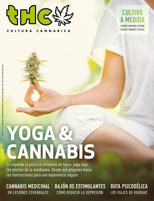 REVISTA THC112