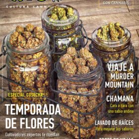 REVISTA THC120