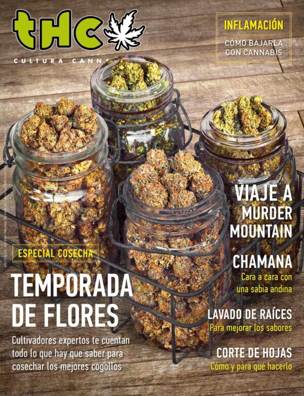 REVISTA THC120