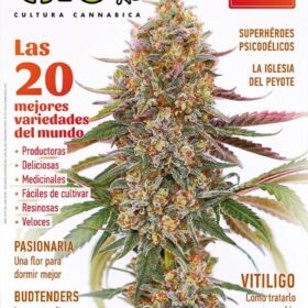 REVISTA THC125