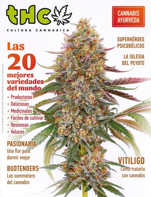 REVISTA THC125