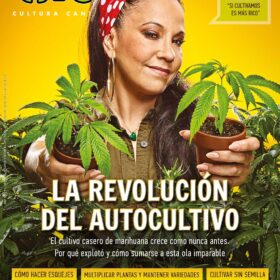 REVISTA THC115