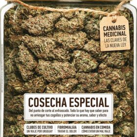 REVISTA THC97