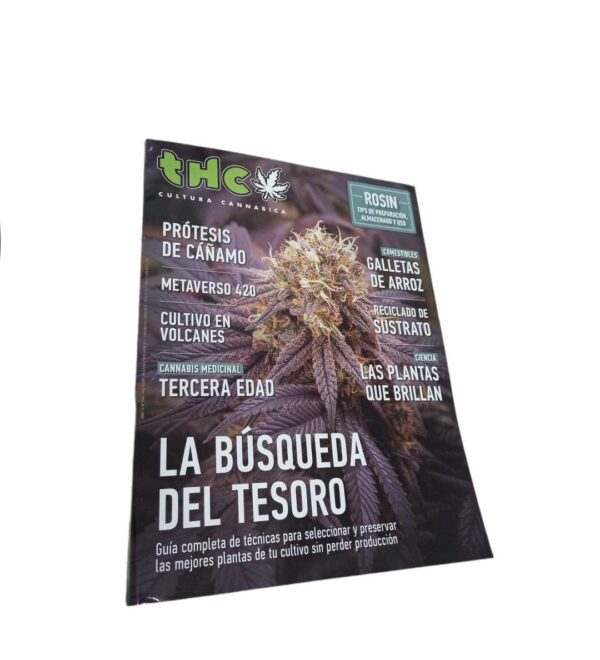 REVISTA THC 158