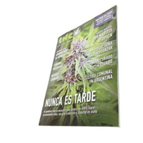 REVISTA THC162