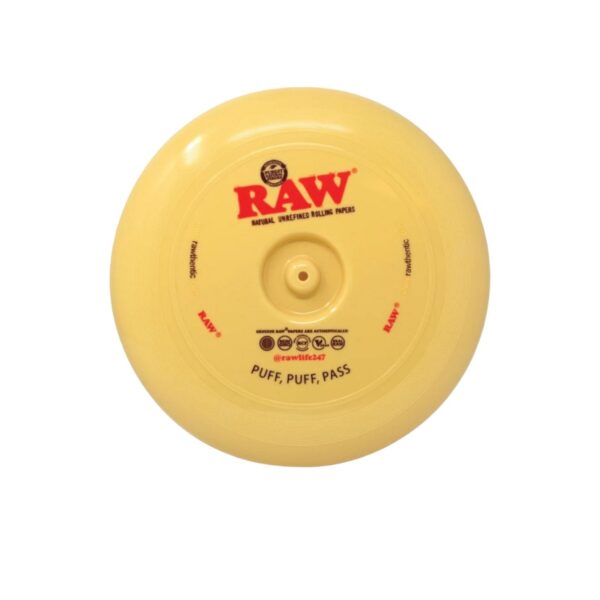 RAW FLYING DISC WHIT CONE HOLDER