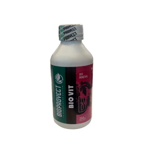 BIOPROYECT BIO VIT  (250 ML)